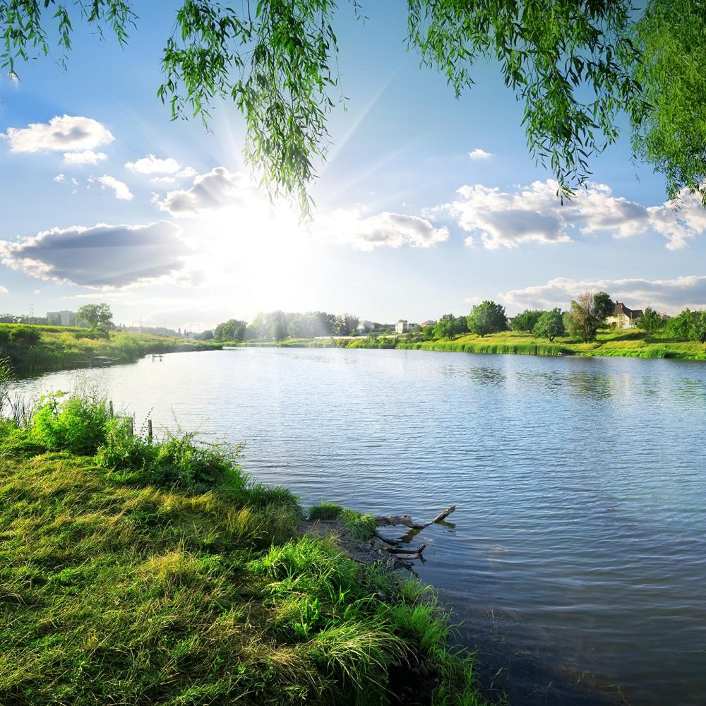 photo of a pond
