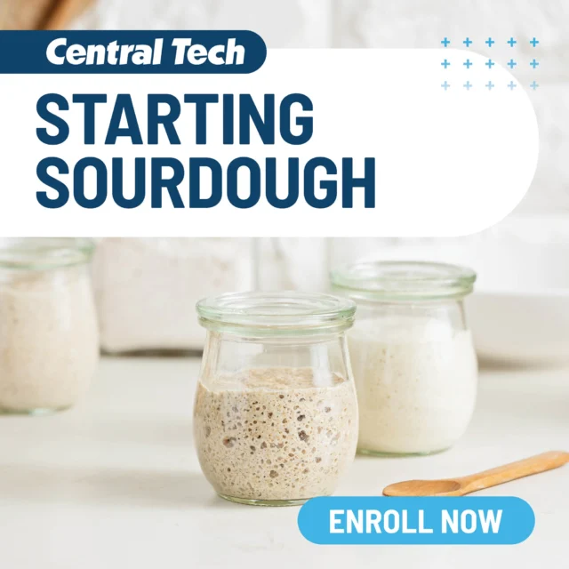 📢 NEW class! 

Starting Sourdough teaches you to mix, shape, and bake with confidence. Take home a bubbly starter, a loaf ready to bake, and all the tools & tips you need to keep going. 

🔗 tinyurl.com/yhx6pwc5
